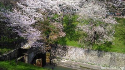 水門と桜
